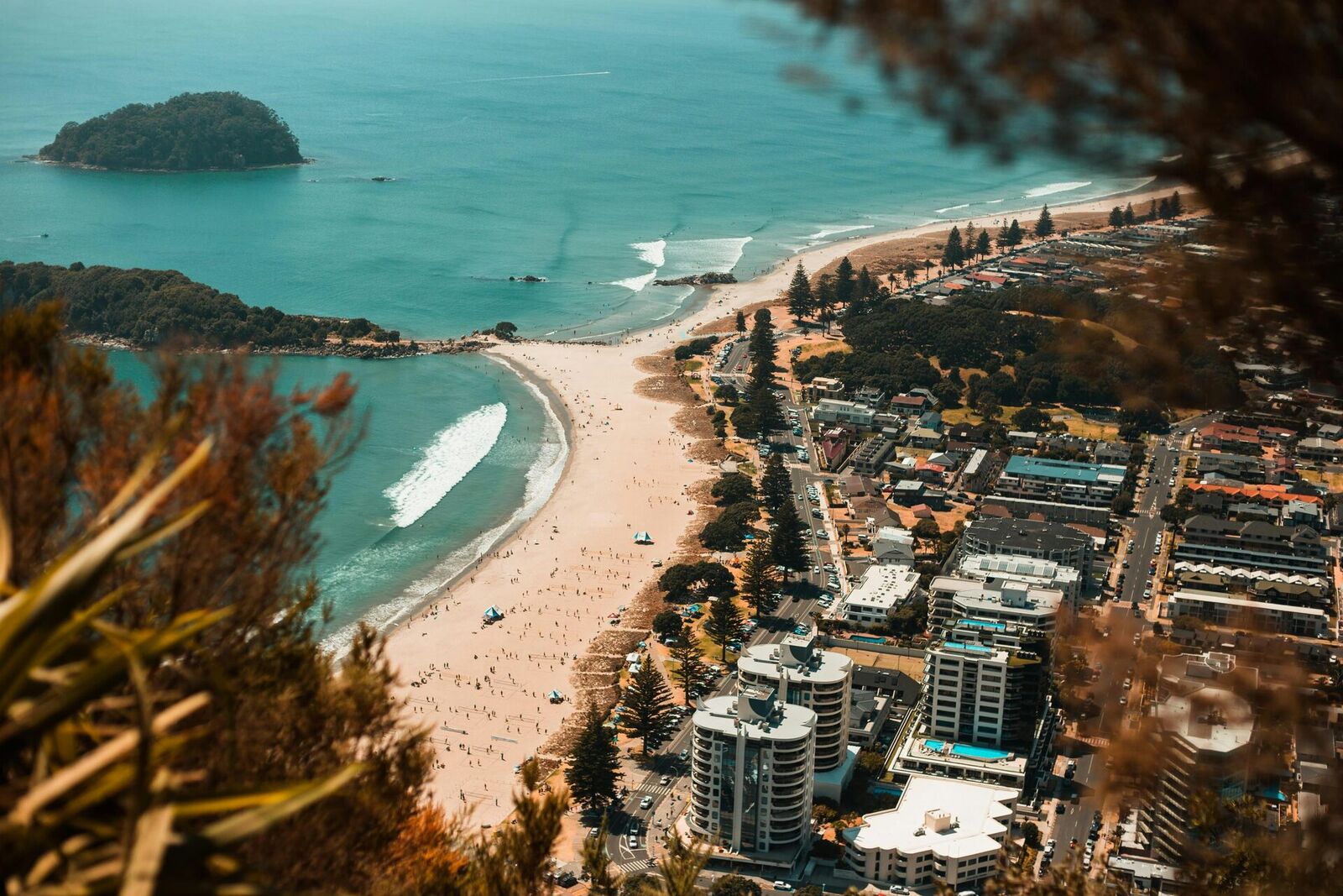 Tauranga, NZ — website design support for Tauranga small businesses